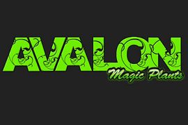 Avalon Magic Plants Promotie codes 